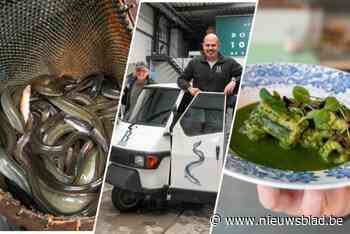 Hoogseizoen bij Palingbedrijf Borremans: eigen chef-kok verheft vis tot culinaire delicatesse