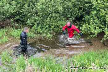 Zoekactie vermoedelijke drenkeling naast Schulensmeer levert niets op
