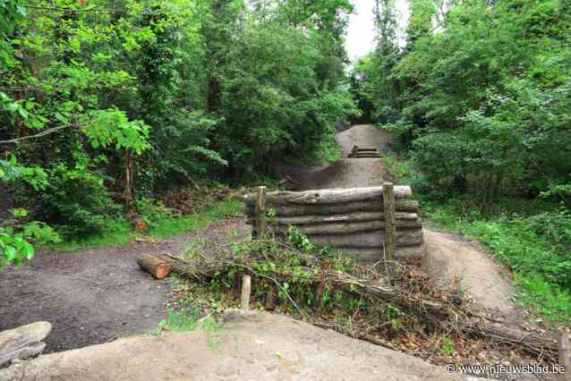 Tieners die verdacht worden van deelname aan groepsverkrachting 14-jarig meisje filmden de feiten ook, advocaat van een van verdachten reageert geschokt