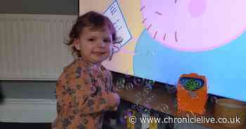 Maya Chappell: Murdered toddler's mum asked health visitors for help two weeks before she was killed