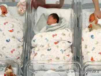 Parte la quarta edizione degli Stati Generali della Natalità 