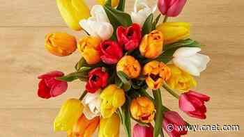 42 Best Last-Minute Mother's Day Gifts in 2024     - CNET