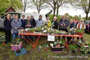 Ein Kraut für die Unsterblichkeit
