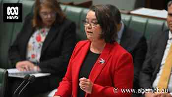 Labor backbench 'blindsided' by Albanese's gas strategy that keeps fuel 'to 2050 and beyond'