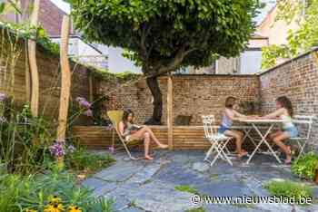 Antwerpenaren kunnen een gratis boom bestellen tot 30 september