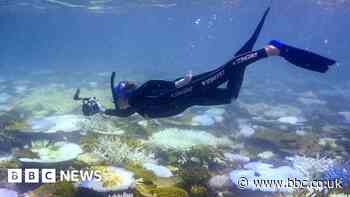 Oceans suffer from record-breaking year of heat