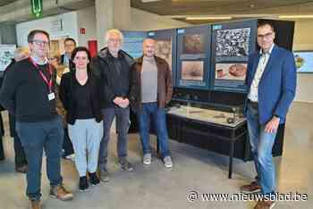 HIPPO.WAR toont luchtfoto’s uit Eerste Wereldoorlog: “Zo kon men niemandsland in kaart brengen”