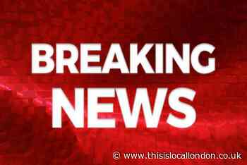Cranston Gardens, Chingford: Man charged with murder