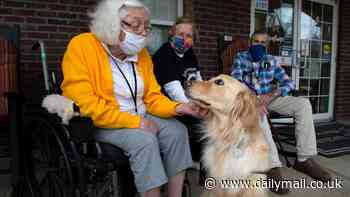 CDC warns of new Covid 'FLiRT' variants becoming dominant across the US - but here's why it could be the end of disease