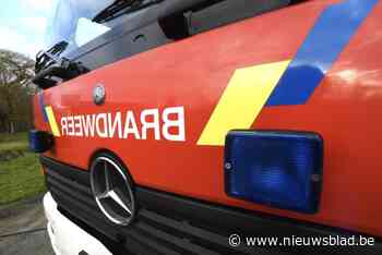 Brandweer met bootje op zoek naar wandelaar die hond achterna ging in het water