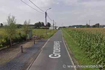 Duikers van brandweer op zoek naar man (56) die hond achterna ging in grote vijver