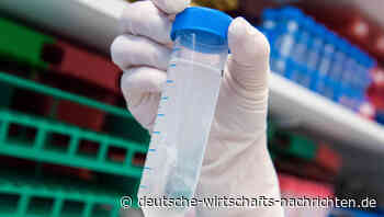 Genomsequenzierung: Investieren in die personalisierte Medizin der Zukunft