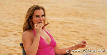 ‘Mother of the Bride’ Review: An Old Flame in a Tropical Locale