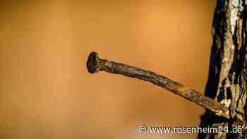 „Wirklich schockierender Vorfall“: Mann bei lebendigem Leib an Zaun genagelt