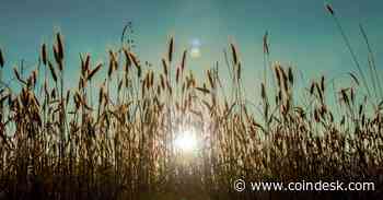 Crypto for Advisors: DeFi Yields, the Revival