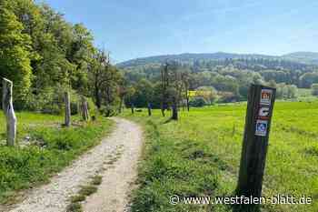 Wandern auf dem Bergweltenweg in Amshausen