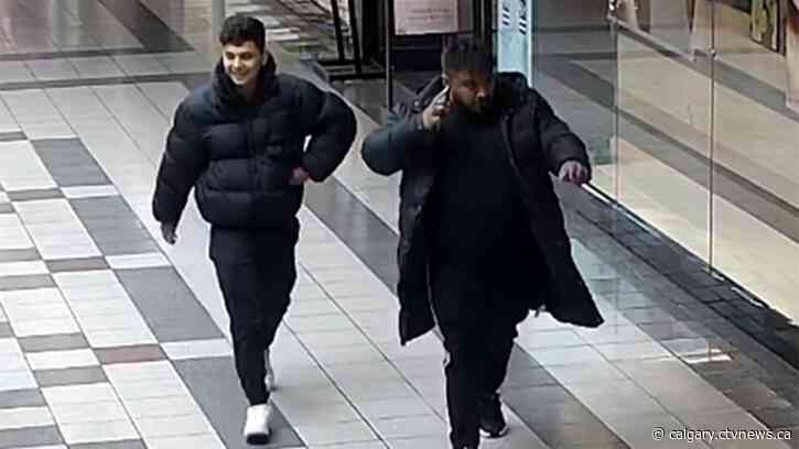 Lethbridge police seek suspects after $4,000 in sunglasses stolen