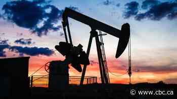 Oil executives expect sustained period of strong crude prices, survey shows