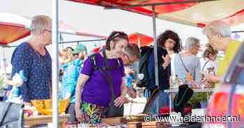 Van schapen scheren tot snuffelen naar dat ene pareltje: Vlooienmarkt Park Lingezegen trekt ruim 1500 bezoekers