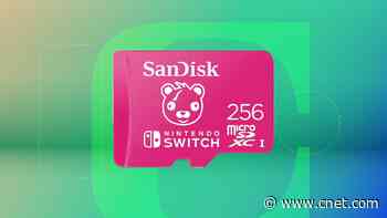 Best MicroSD Card Deals: Save Big on MicroSD Cards of All Sizes     - CNET