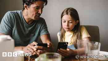 Can we really 'reset the internet' to make it safer for children?