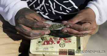 The science behind roadside THC testing and diving into SGI’s zero-tolerance policy