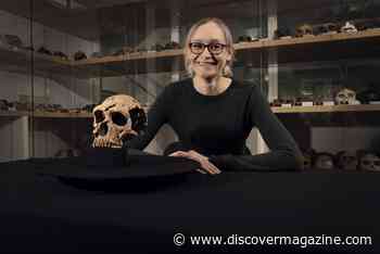 Reconstructing a Neanderthal Skull That Was Flattened Like a Pancake