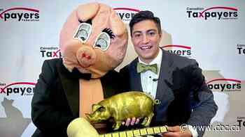 WATCH | Regina given 'award' for waste of municipal tax dollars