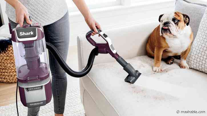 Tackle your pet hair problem with these Amazon Pet Day vacuum deals