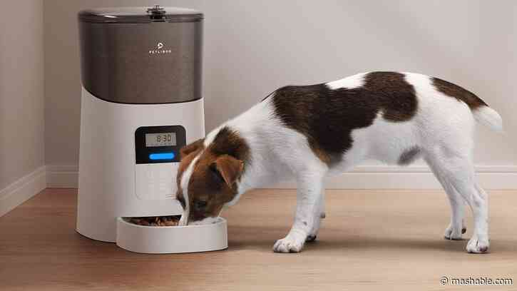 Get an automatic pet feeder up to $36 off before Amazon Pet Day ends