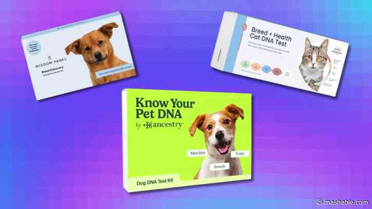 Save up to $60 on a pet DNA kit during the final hours of Amazon Pet Day