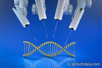 New Epigenome Editing Platform Enables the Precise Programming of Epigenetic Modifications