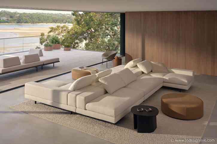 KingTrade: Exclusive benefits for project success