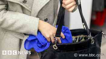 Record levels of shoplifting show signs of falling