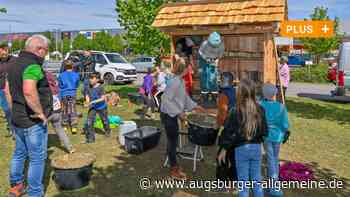 Drittklässler der Waldorfschule bauen Wildbienen ein neues Zuhause