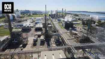 Australia is a major gas exporter, but it's cheaper for this local manufacturer to get it in the US