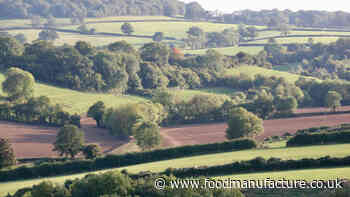 UK farm project to show intensive farmers another way