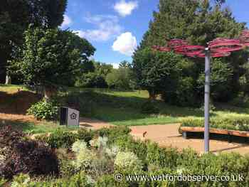 Five great picnic spots in and around Watford 2024