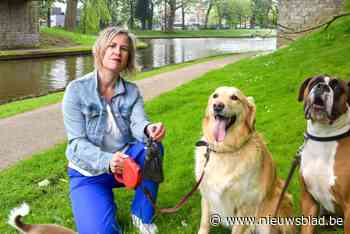Stad herhaalt hondenpoepcampagne: “Blijft een groot probleem in het straatbeeld”