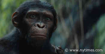 How a Village Comes to Life in ‘Kingdom of the Planet of the Apes’