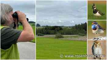 „Die Kiebitze sind da“: Was Patrick Guderitz am Pelhamer See noch alles entdeckt