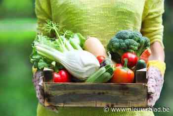 Herselt zoekt kandidaten voor streekproducten- en ambachtenmarkt in augustus