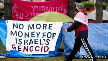 How rallying around divestments helped unify Canada's pro-Palestinian movement