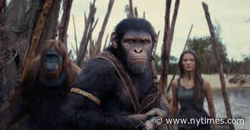 6 New Movies Our Critics Are Talking About This Week