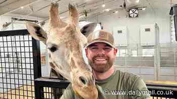 I'm a chiropractor for giraffes - being able to work on the largest neck in the world is a dream