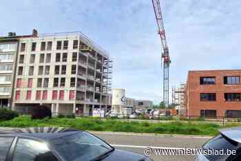 Nieuwe Alice Vigoureuxlei in project Stadsterras wordt zichtbaar