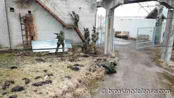 Estonian volunteers fighting in Ukraine are helping prepare Tallinn’s rapid response force