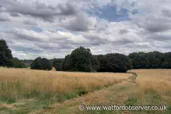 Views sought on South Oxhey Playing Fields five year plan