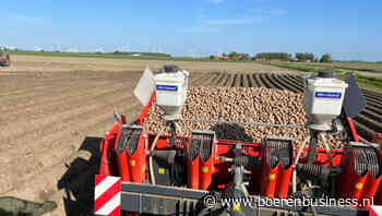 Aardappelmarkt kan weer naar 60 euro