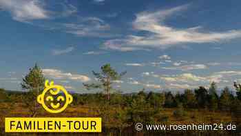 „A bissl was geht immer”: Kleine, familienfreundliche Tour im Ibmer Moor 